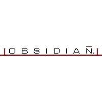 Obsidian Slide Boards coupons